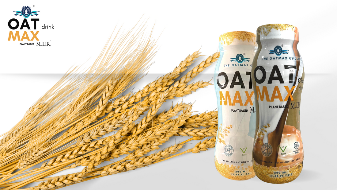 How to make Oat drink for plant based lactose free option at your home?