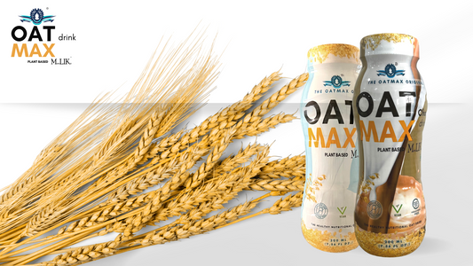 How to make Oat drink for plant based lactose free option at your home?